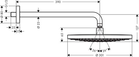Верхний душ Hansgrohe Raindance Select S 300 (27378400)