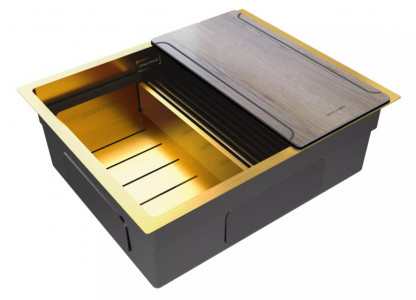 Кухонная мойка Paulmark NEXT-MULTI SINK 54 UNI PM785445-BG браншированное золото 54х45 см
