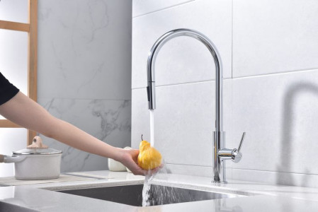 Смеситель для кухни Paulmark Senso хром Se215180-CR