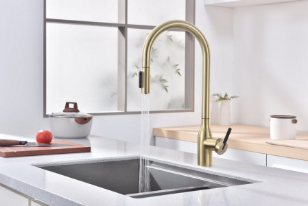 Смеситель для кухни Paulmark Universal светлое брашированное золото Un213880-SBG
