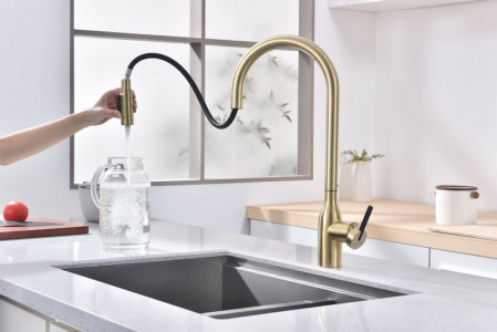 Смеситель для кухни Paulmark Universal светлое брашированное золото Un213880-SBG