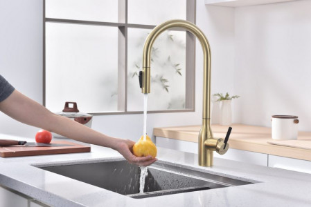 Смеситель для кухни Paulmark Universal светлое брашированное золото Un213880-SBG