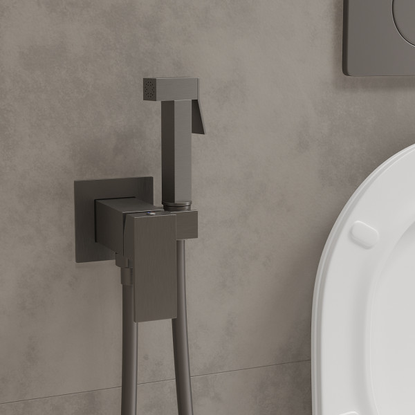 Смеситель встраиваемый Roxen Caspia 500960-GM с гигиеническим душем оружейная сталь