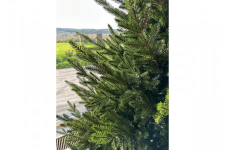 Ель Сербия Exclusive (литая 100%) MaxYPoland 2,3 м