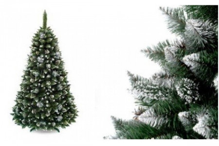 Сосна Европейская (Серебро) MaxYPoland 2,5 м