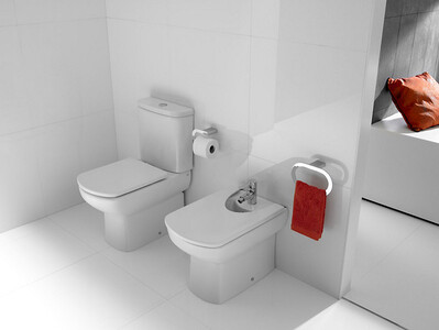 Чаша для унитаза Roca Dama Senso Compacto 342518000 35,5x60, двойной выпуск