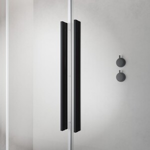 Шторка на ванну (раздвижные двери) Radawey Furo Black PND II 120