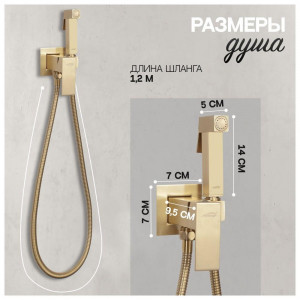 Гигиенический душ со смесителем встраиваемый Hansberge H3077MG матовое золото