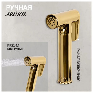 Гигиенический душ со смесителем встраиваемый Hansberge H3099GO золото