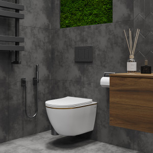 Подвесной унитаз Roxen Antares Gold 530110-01G Rimless Soft Close