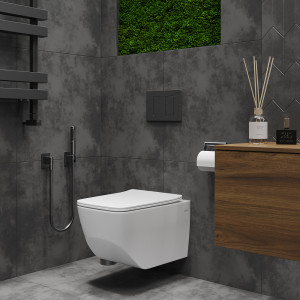 Подвесной унитаз Roxen Boro 530145-01 Rimless Soft Close