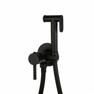 Смеситель встраиваемый Roxen Santi 500940-B с гигиеническим душем черный