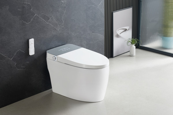 Умный приставной унитаз Roxen Smart Turbo 670300-02 с функцией биде и импульсным смывом