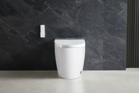 Умный приставной унитаз Roxen Smart Turbo 670300-02 с функцией биде и импульсным смывом